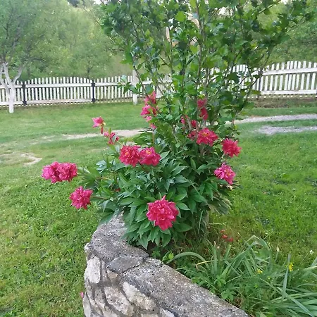 Apartment Una Strbacki Buk *