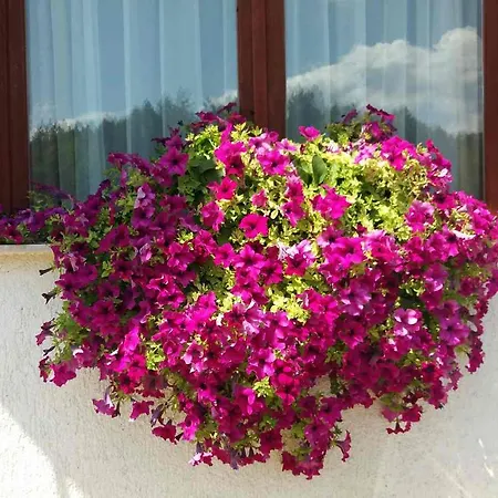 Una Strbacki Buk Apartment Kulen Vakuf